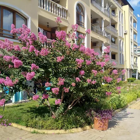 роял дриймс Apartmán