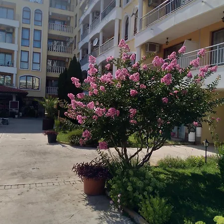 роял дриймс סאני ביץ'