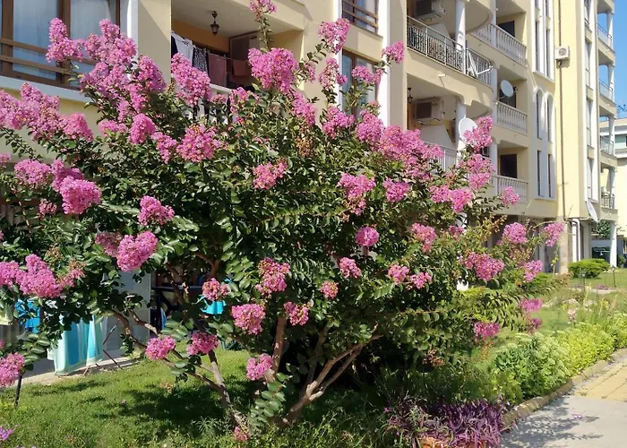 роял дриймс Lägenhet